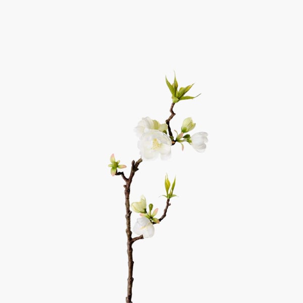 Omenankukka valkoinen 40 cm 