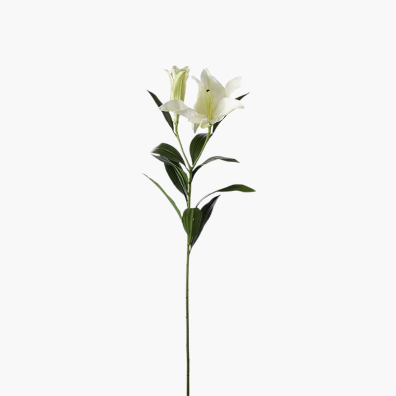 Lilja valkoinen 100 cm 