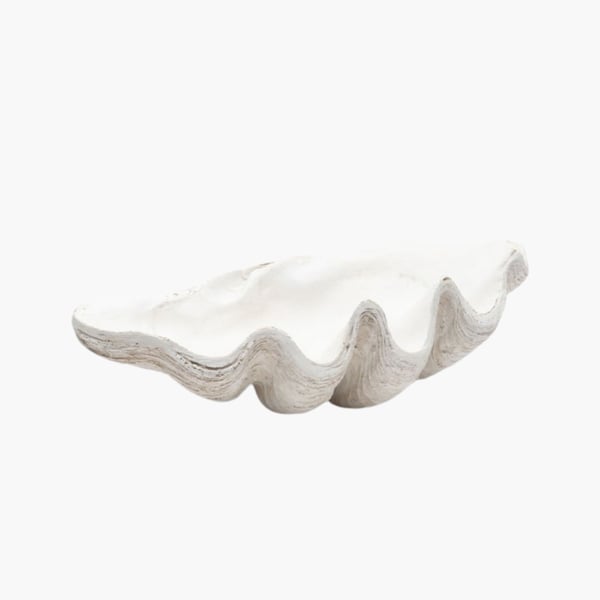 RM Shell Decoration