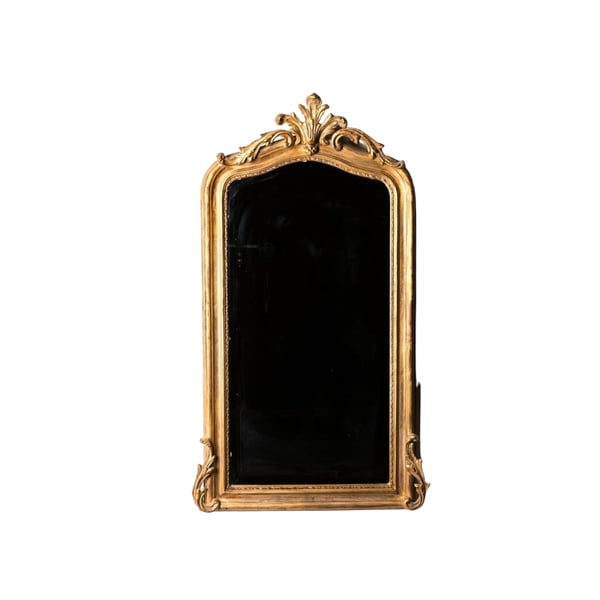 Peili Renard gold 