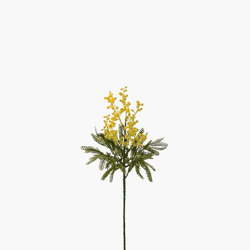 Mimosa 48 cm 