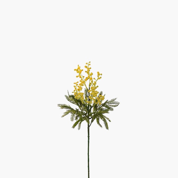 Mimosa 48 cm 