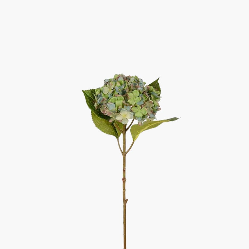Hortensia sini-vihreä 40 cm 