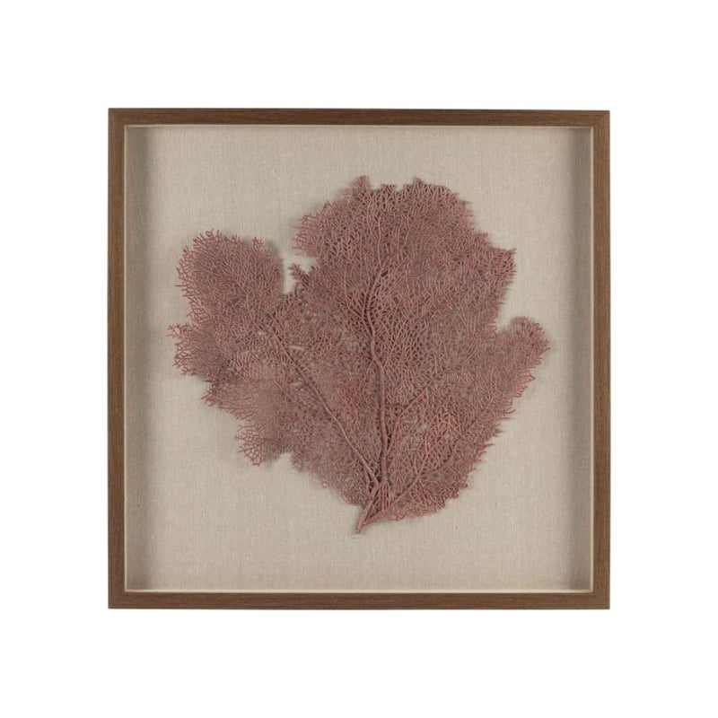 Frame with Deco Coral  — kuva 1