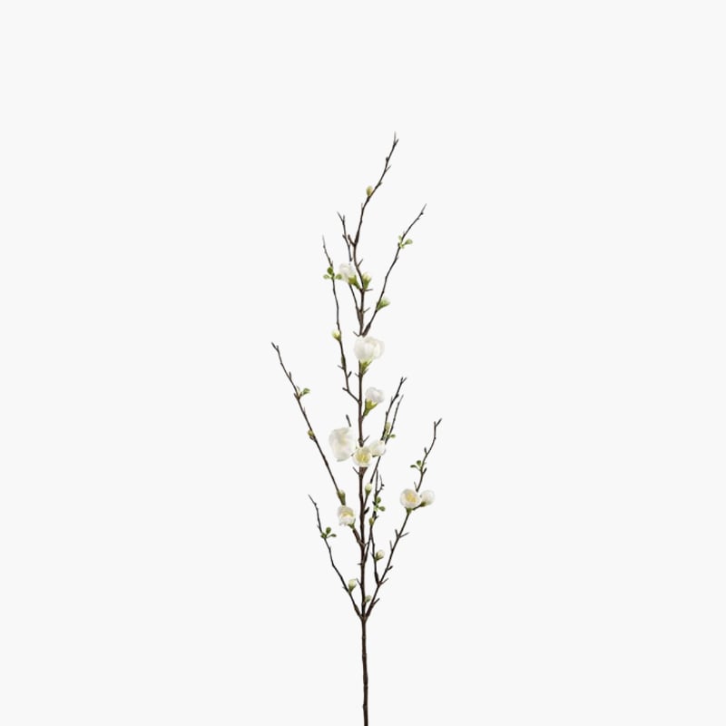 Omenanoksa valkoinen 125 cm 