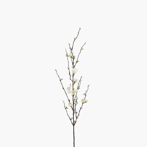 Omenanoksa valkoinen 125 cm 