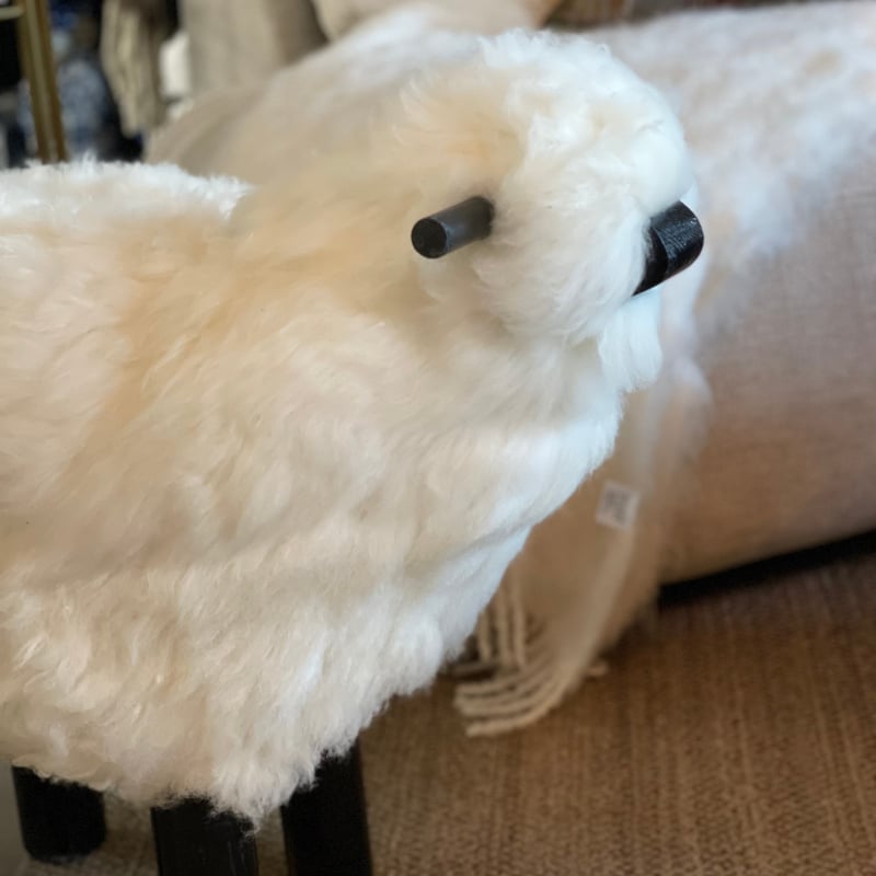 Lammasrahi XL  — kuva 2