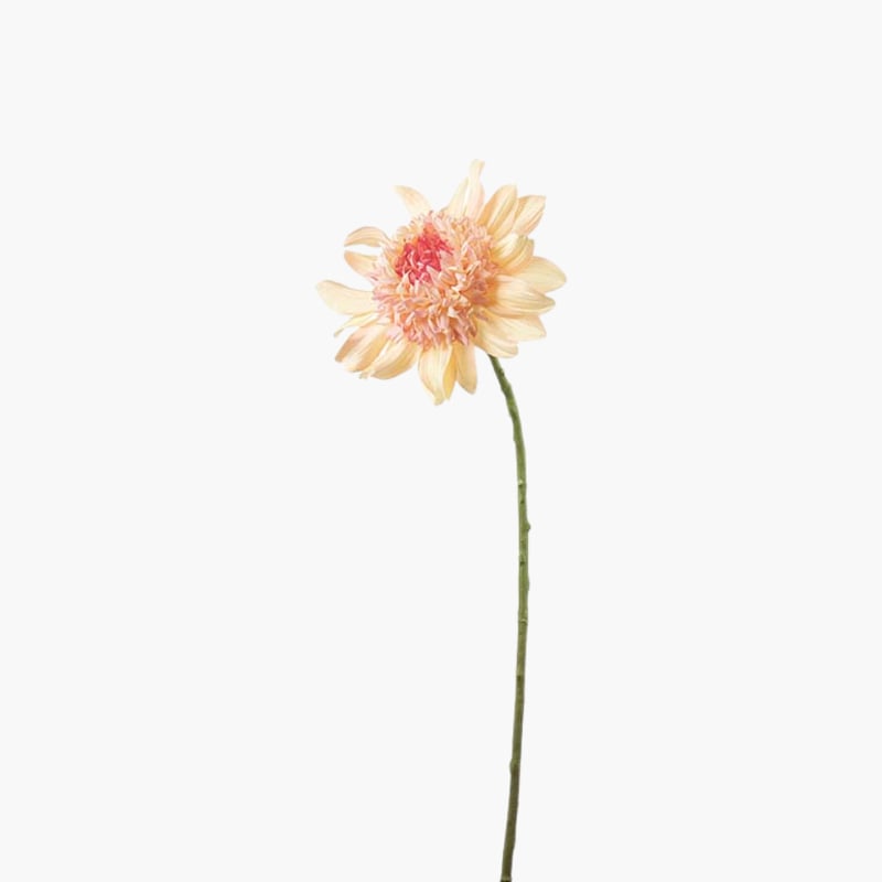 Dahlia coral 62 cm 