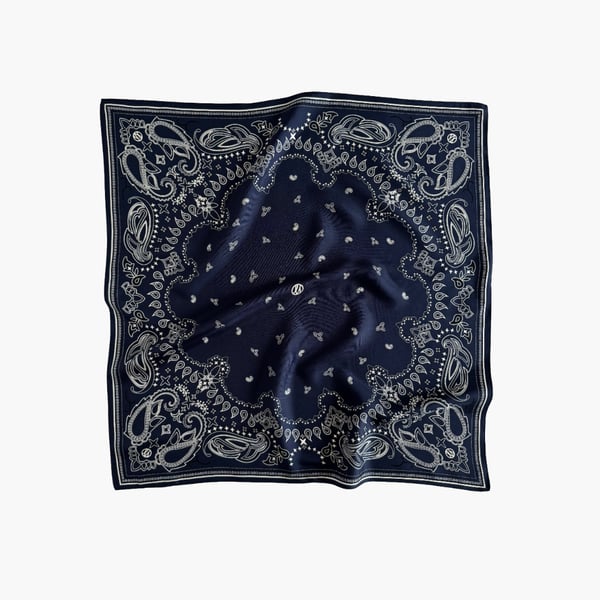 Paisley Scarf navy 65 cm lescarf 