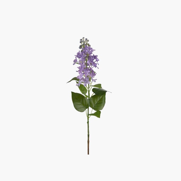 Syreeni violet 60 cm 